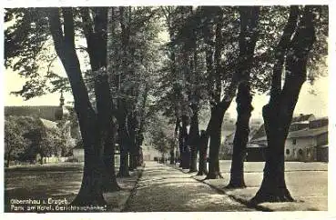 09526 Olbernhau Erzgebirge Park am Hotel Gerichtsschänke gebr. ca. 1940