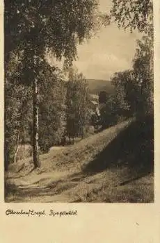 09526 Olbernhau, Rungstocktal o 24.2.1934