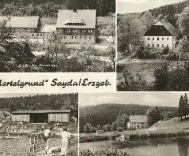 09619 Sayda Erzgebirge Mortelgrund o 10.10.1972