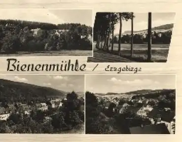 09623 Bienenmühle Erzgebirge Echtfoto, o 17.08.1967