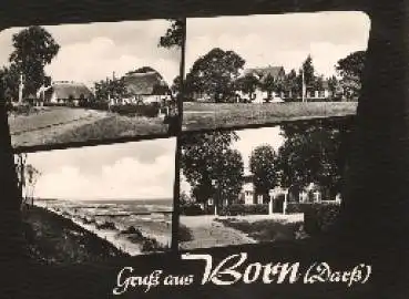 18375 Born Darß o ca. 1960