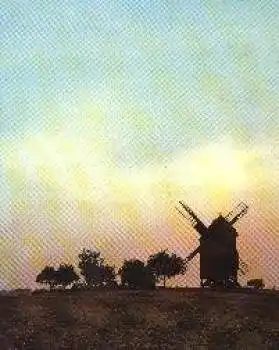 04936 Lebusa Kr. Herzberg Bockwindmühle o 8.7.1988