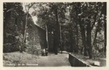 09599 Freiberg Sachsen An der Stadtmauer * ca. 1960