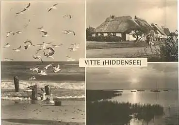 18565 Insel Hiddensee Vitte o 21.7.1975