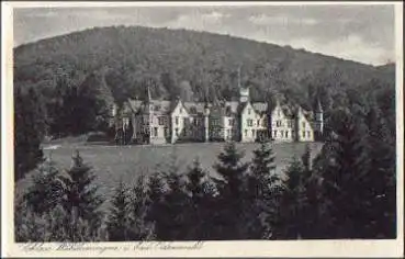 69427 Mudau Schloss Waldleiningen o 7.7.1931