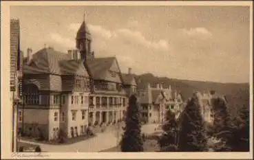 61462 Falkenstein Obertaunusheim * ca. 1930