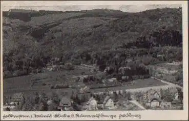 61462 Falkenstein Taunus mit Gr. Feldberg gebr. ca. 1930