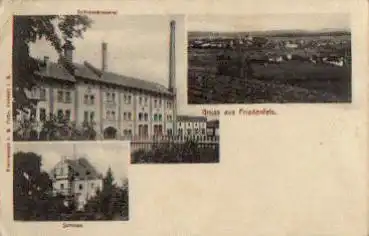 95688 Friedenfels Brauerei gebr.ca. 1912