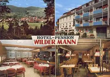 92281 Königstein Hotel Pension Wilder Mann o 8.9.1977