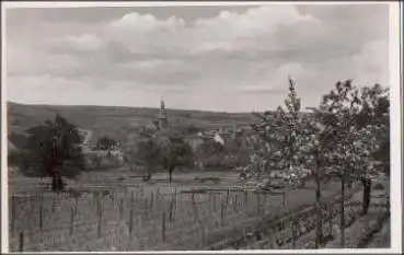 67169 Kallstadt * ca. 1950