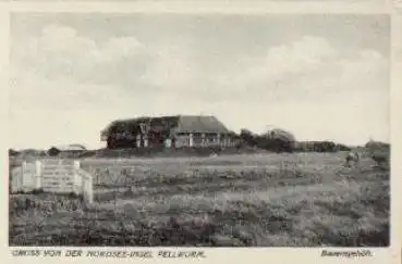 25849 Pellworm Nordsee-Insel Bauerngehöft o 30.8.1935