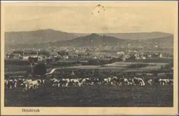 91217 Herbruck o 17.8.1914