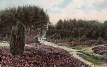 29614 Lüneburger Heide Weg am Wilseder Berg o 9.10.1909