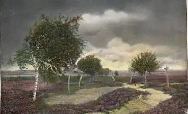 Lüneburger Heide Heideweg Wehlen - Wesel o 5.10.1908