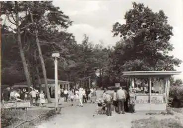 17459 Koserow Weg zum Strand o 4.9.1977