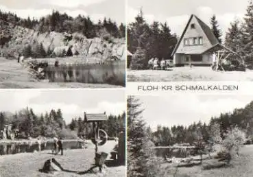 98593 Floh Bergsee am Hühnberg * ca. 1975