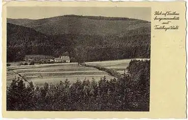 49124 Georgmarienhütte Forsthaus mit Teutoburger Wald o 4.9.1934