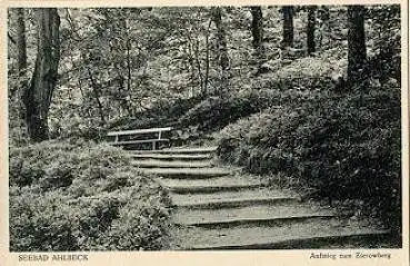 17419 Ahlbeck Aufstieg zum Zierowberg *ca. 1920