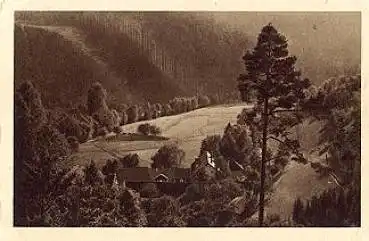 07607 Mühltal Walkmühle  *ca.1930