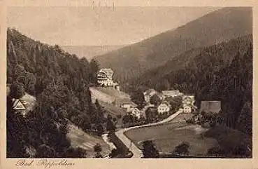 77776 Bad Rippoldsau * ca. 1920