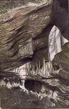 08548 Syrau Drachenhöhle Elephanten-Ohr Grotte * ca. 1920