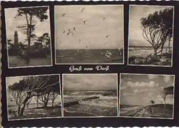 18311 Prerow am Darß Leuchtturm o 31.8.1965