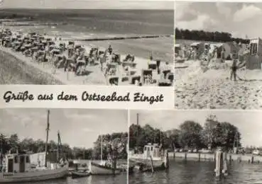 18374 Zingst Dars Mehrbildkarte o 1974
