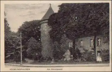 45665 Recklinghause Am Herzogswall * ca. 1920