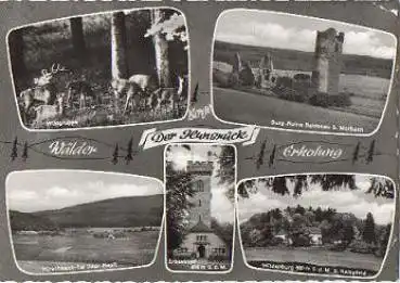 55758 Berge im Hunsrück o 4.5.1971