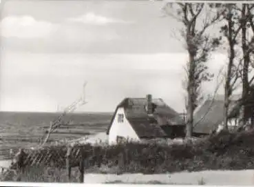 18347 Ahrenshoop Am Steilufer  * ca. 1970