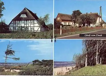 18311 Darss o 24.7.1976