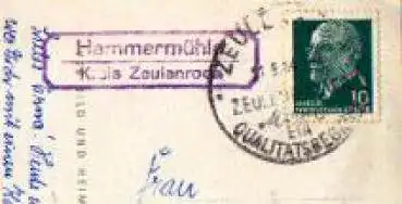 07646 Oberbodnitz Landpoststempel o 10.09.1959 auf AK Saalepartie mit Leuchtenberg