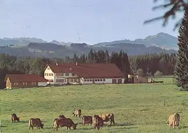 87400 Kemptner-Wald Waldgasthaus "Zum Tobias" Kühe gebr. 31.10.1972