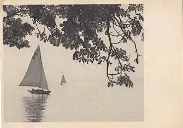 88131 Bodensee Herbst Seeansicht * ca. 1950