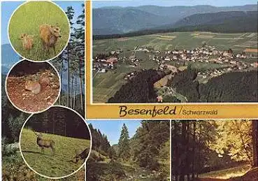 72297 Besenfeld Seewald gebr. ca. 1970