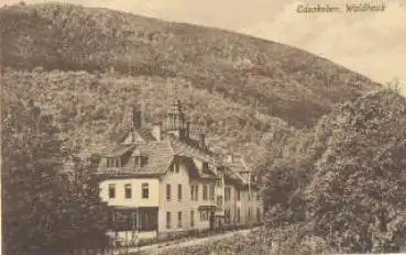 67480 Edenkoben Waldhaus o ca. 1920