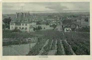 67574 Osthofen o 22.7.1908