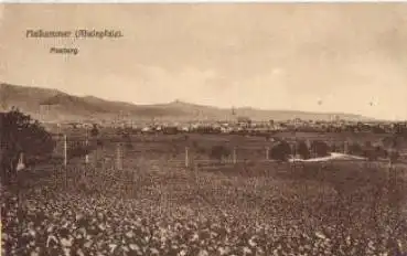 67487 Maikammer Maxburg o 26.6.1924