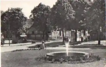 17252 Mirow Mecklenburg Markt o 24.8.1961