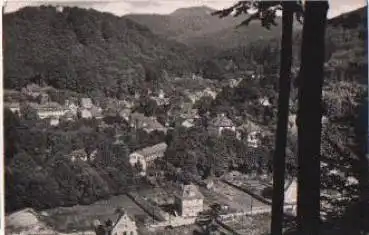 99843 Thal o 12.8.1963