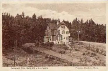 99887 Catterfeld, Pension Waldheim Maria gebr. 6.9.1934