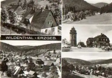 08309 Wildentha o ca. 1975