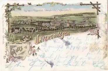 08228 Untergöltzsch Heil- und Pflegeanstalt Litho o 22.5.1898