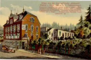 08236 Ellefeld Sommerfrische Edelweiß Farblitho * ca. 1910