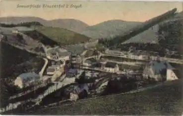 08318 Blauenthal Erzgebirge o 4.8.1910