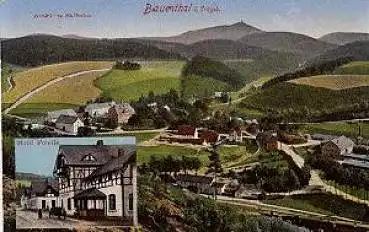 08318 Blauenthal Hotel Forelle * ca. 1920