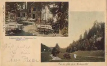 08318 Eibenstock, Bockauthal Zimmersacher o 26.6.1901