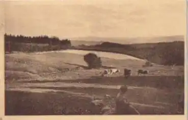 92681 Aschenhof Landschaft mit Kühen, k. AK-Einteilung * ca. 1930