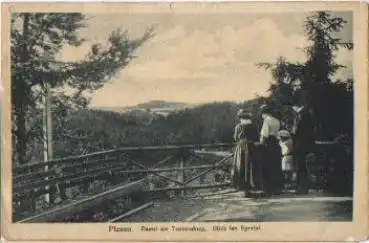 08523 Plauen Bastei am Tenneraberg ins Syratal gebr. ca. 1910