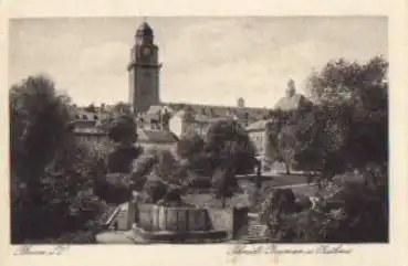 Plauen Vogtland Schmidt-Brunnen und Rathaus  *ca. 1910